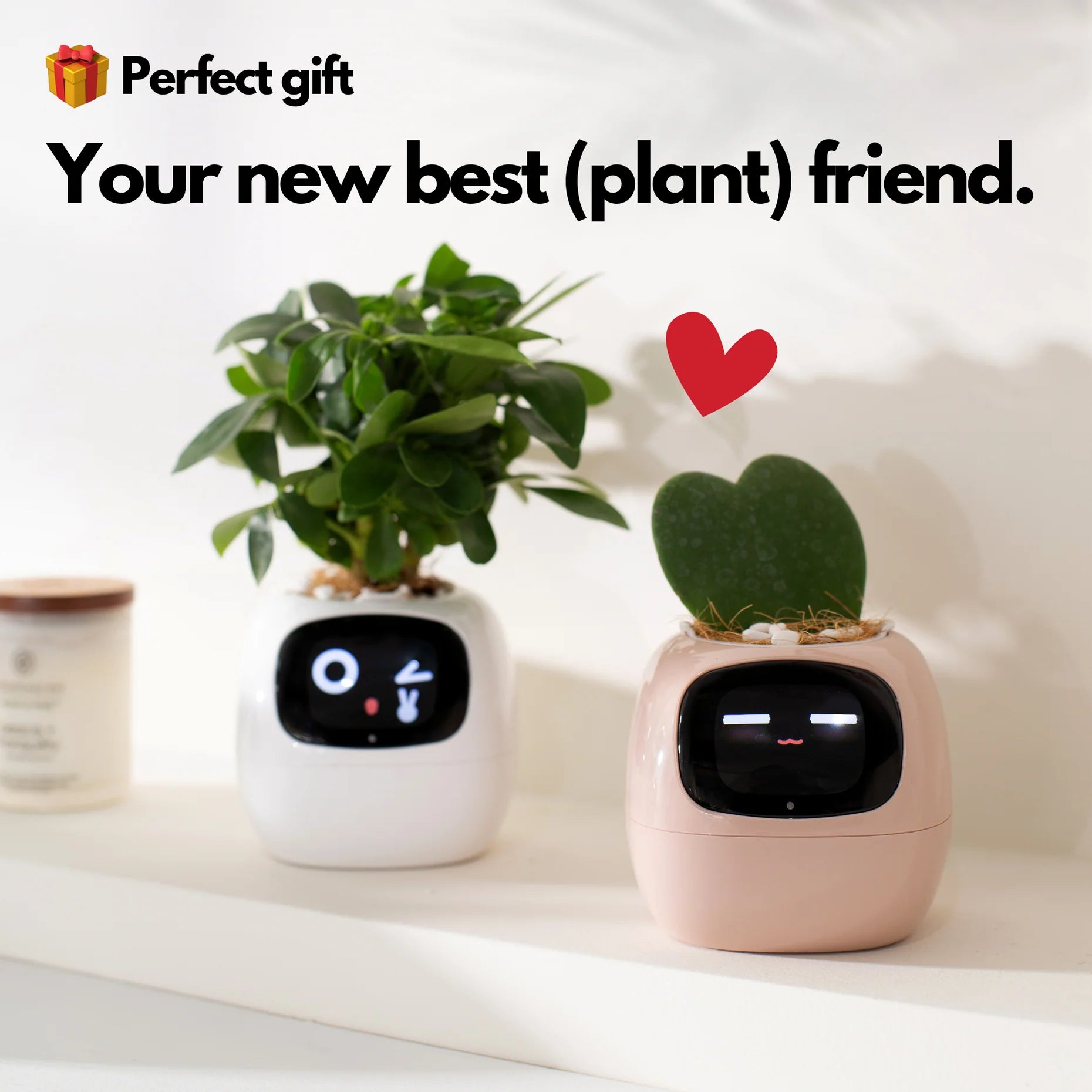 FloraBeat™ — The Smart Planter That Keeps Plants Alive