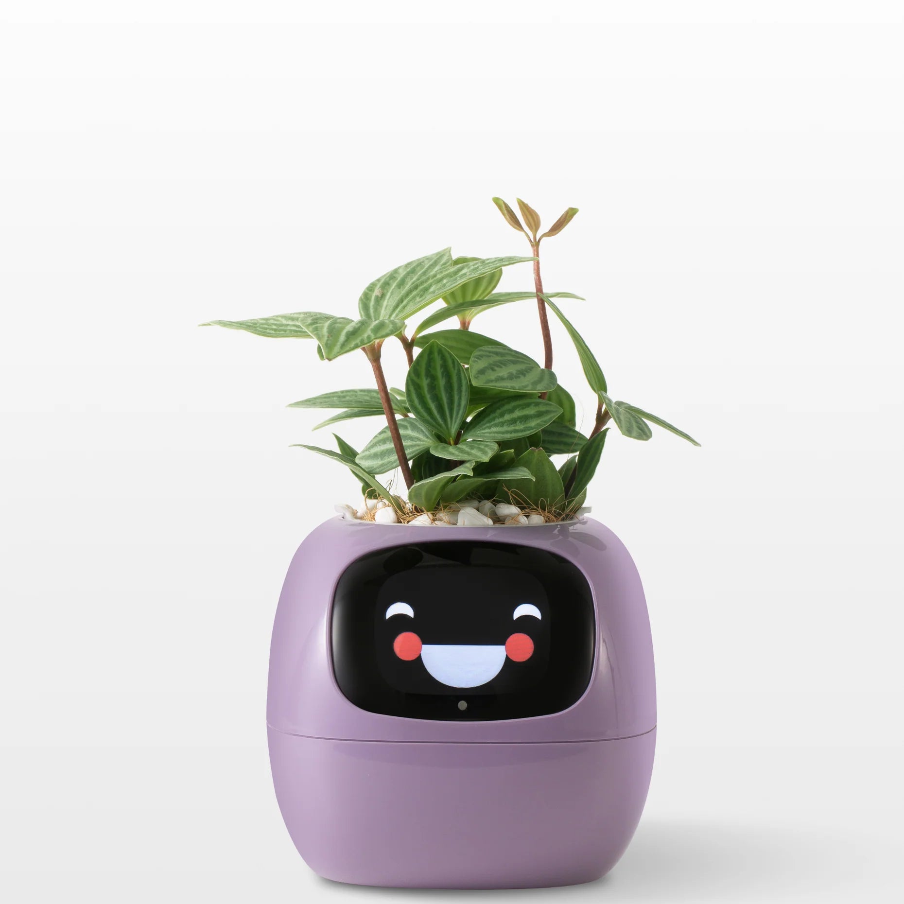 FloraBeat™ — The Smart Planter That Keeps Plants Alive