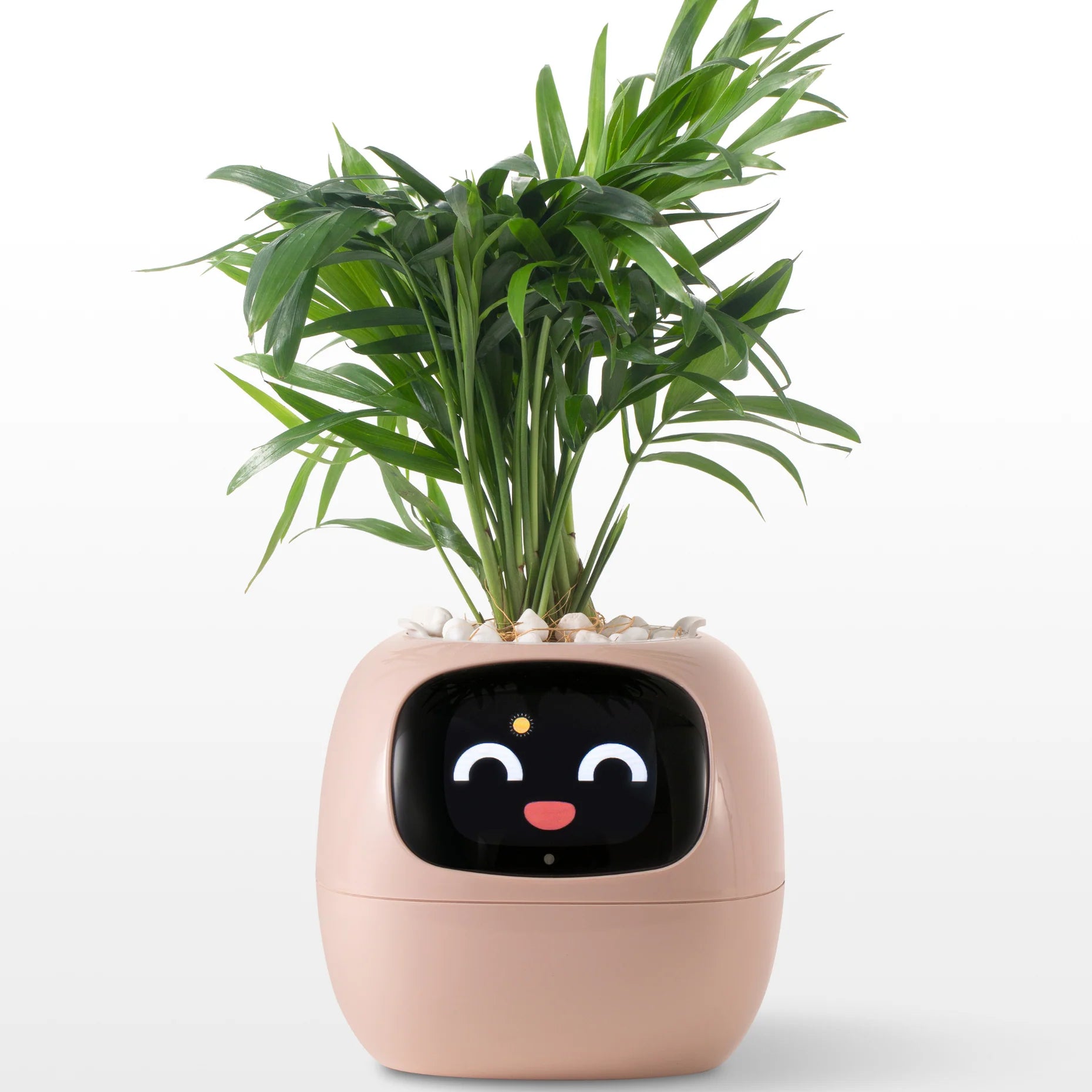 FloraBeat™ — The Smart Planter That Keeps Plants Alive