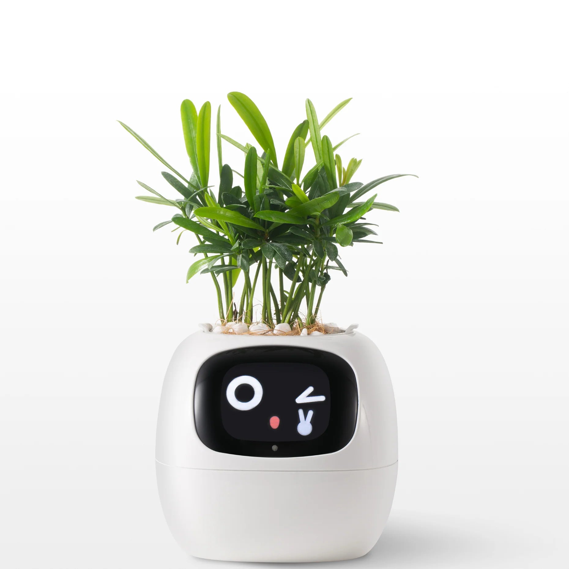 FloraBeat™ — The Smart Planter That Keeps Plants Alive