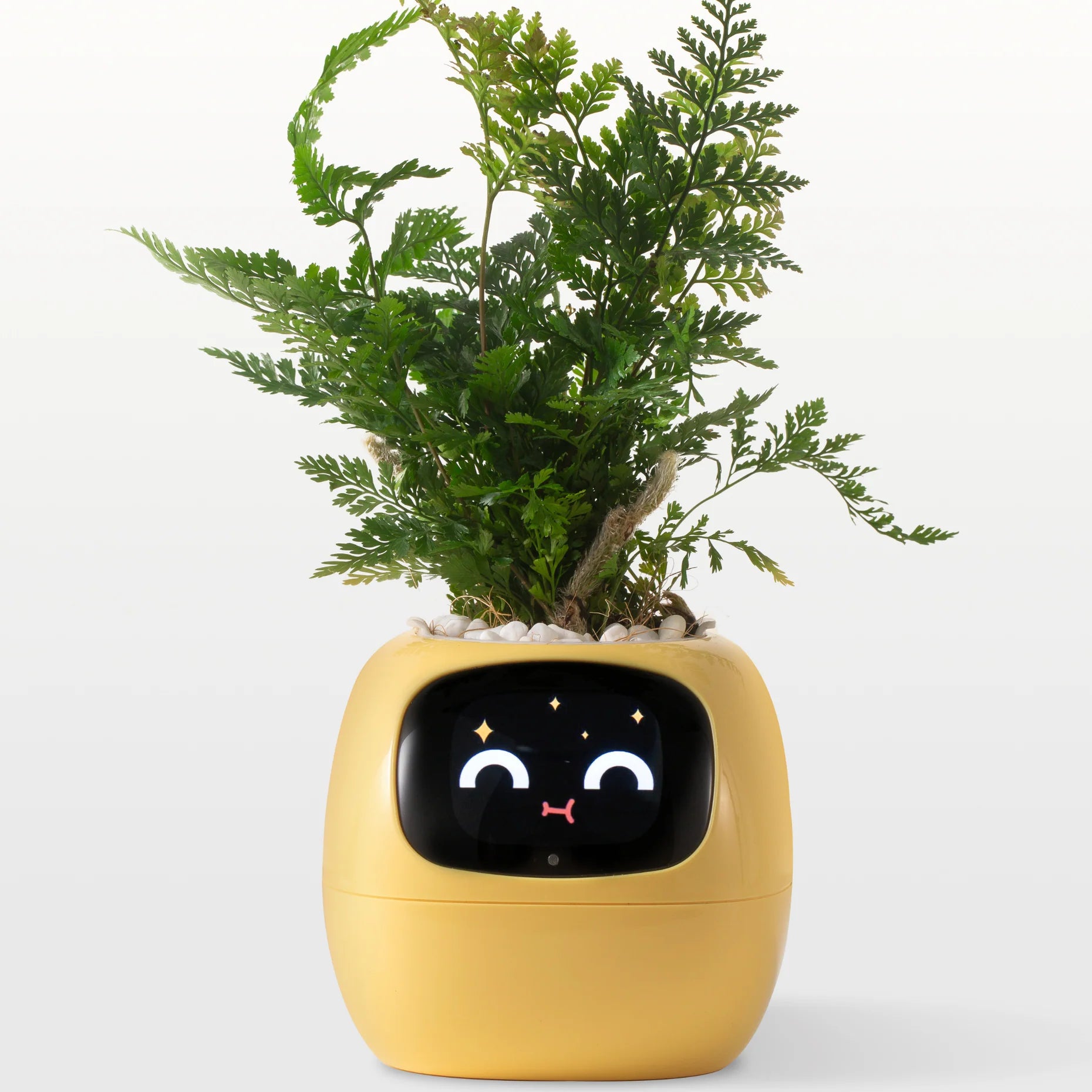 FloraBeat™ — The Smart Planter That Keeps Plants Alive